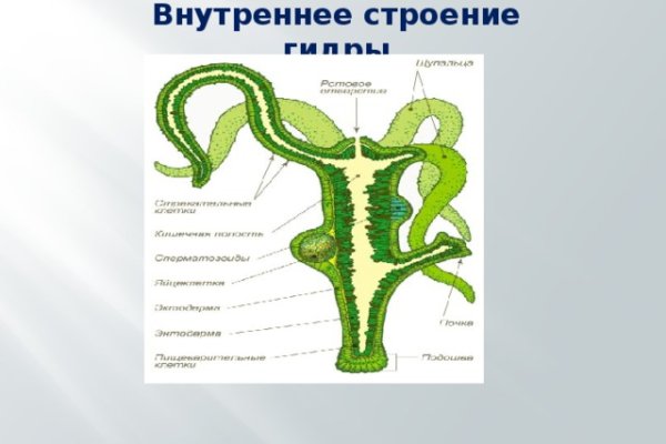 Ссылка адрес на кракен