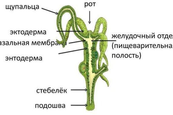 Кракен сайт ссылки актуальные